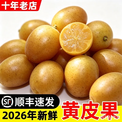 广东郁南正宗无核黄皮果无籽当季新鲜酸甜水果现摘现发非广西鸡心