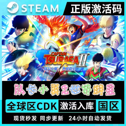 队长小翼2世界群星Steam游戏国区自动秒发CAPTAIN TSUBASA 2DLC