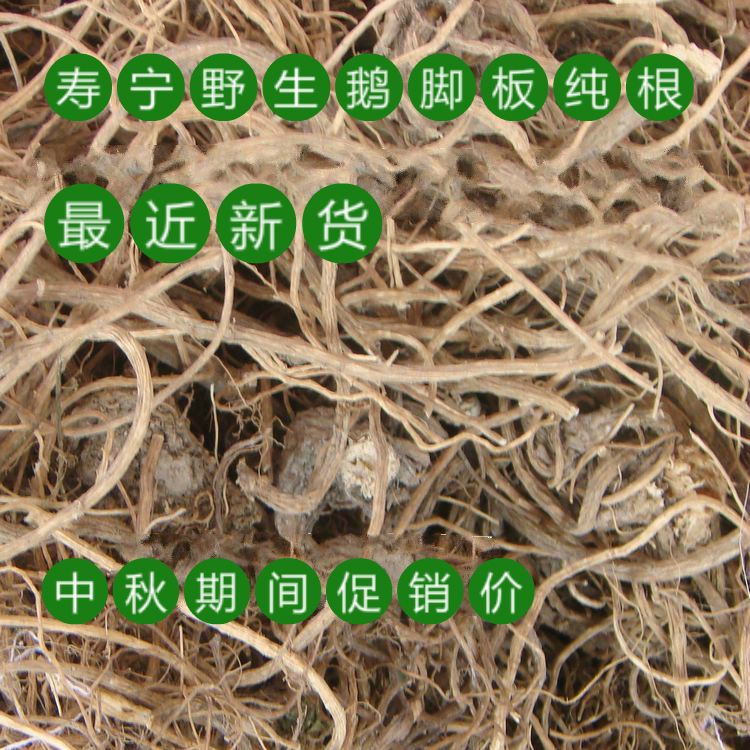寿宁特产 百路通 异叶茴芹六月寒 鹅脚板根 50g农副产品 散装食品
