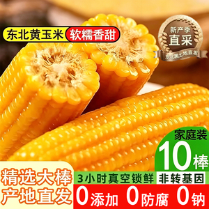 2026年新鲜玉米东北软甜糯黄玉米