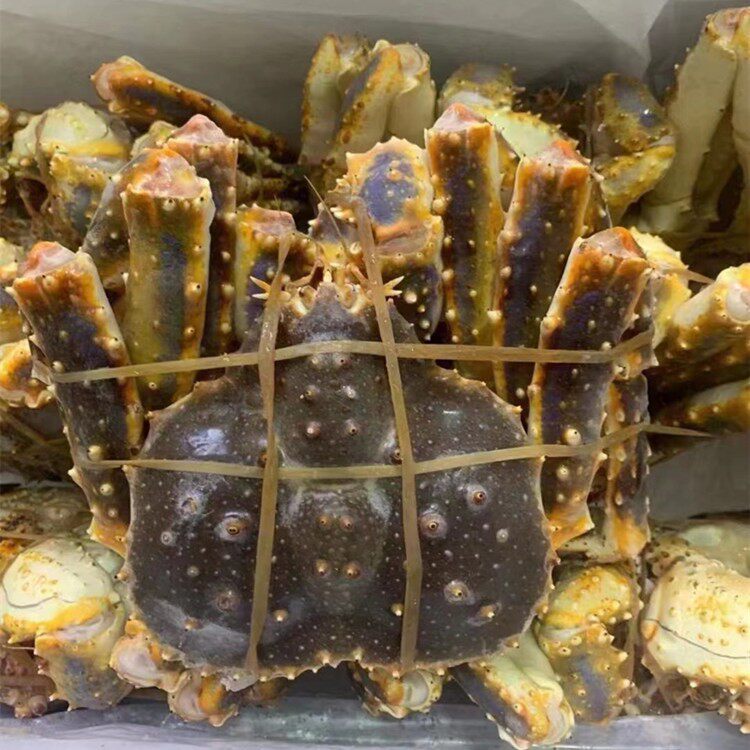 生冻帝王蟹整只商用包邮帝皇蟹鲜活液氮速冻西餐酒店日式刺身海鲜