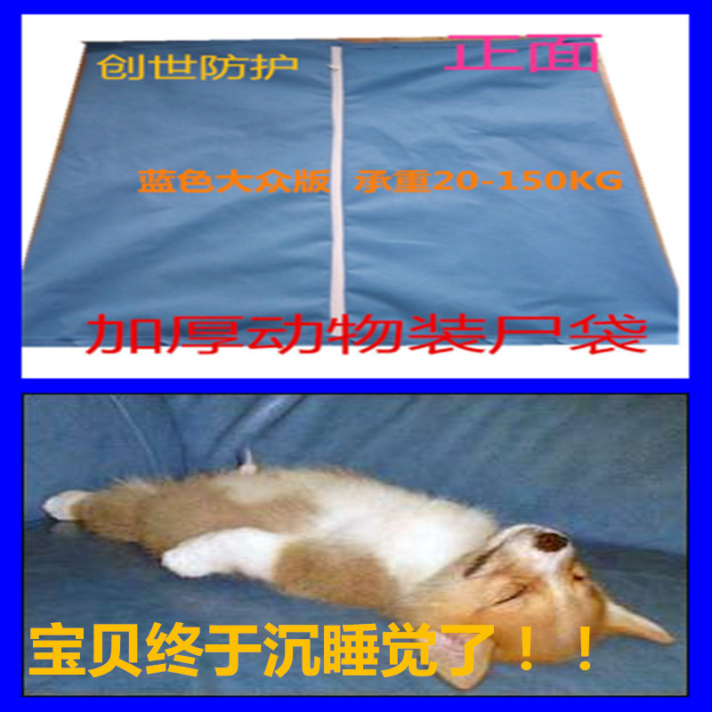 防尘无纺布装尸袋创逸康一次性