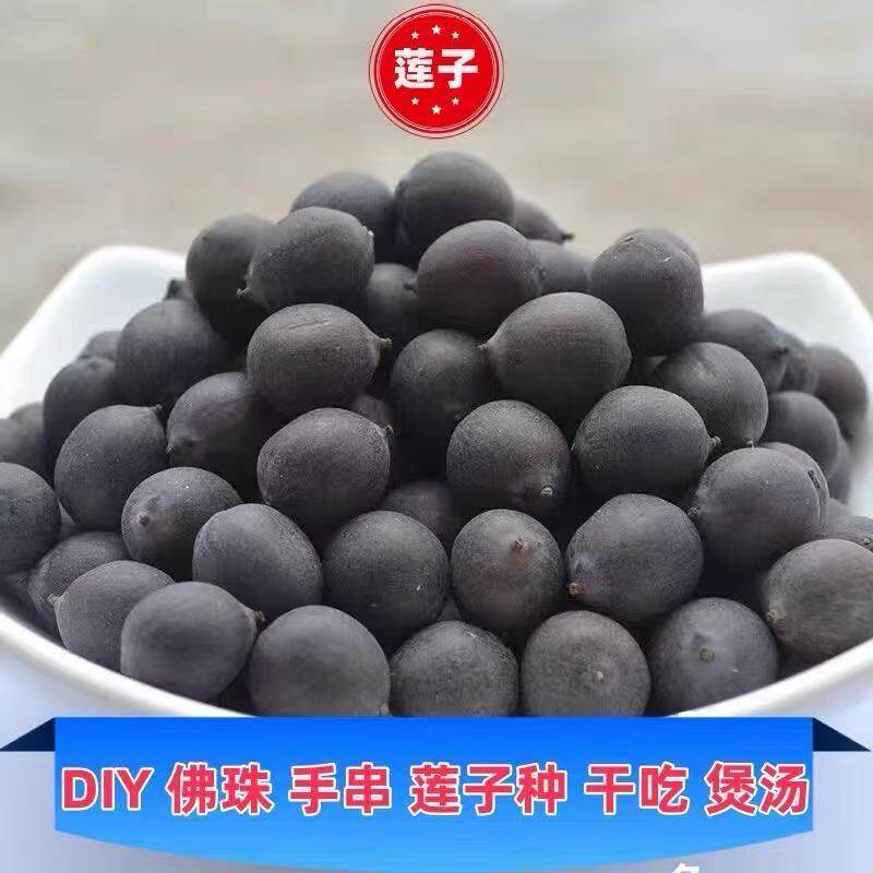 正宗洪湖带皮带壳莲子500g干货石莲子黑铁莲子可做念珠佛珠手串