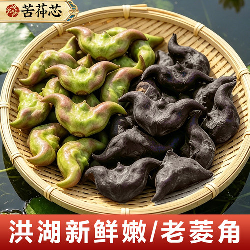 苦茽芯现摘洪湖老菱角