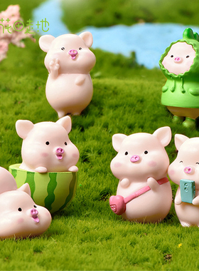 diy微景观盆栽多肉小猪装饰摆件