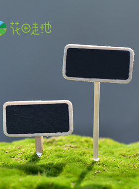 diy苔藓微景观小黑板创意摆件