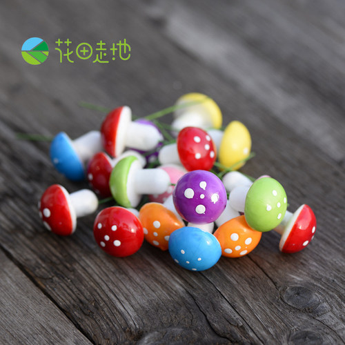 蘑菇泡沫彩色多肉微景观盆栽