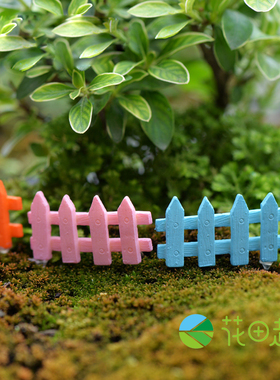 多肉植物花卉围栏苔藓微景观摆件