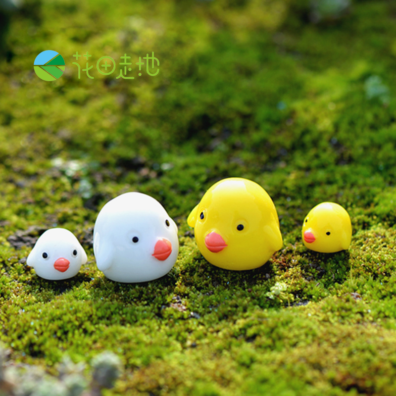 苔藓微景观生态瓶 2款胖小鸡 卡通可爱小鸡仔 diy造景树脂摆件