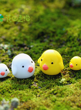 diy卡通可爱风小鸡仔造景生态瓶