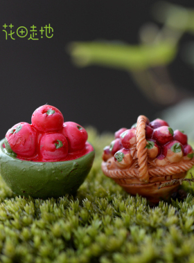 diy苔藓微景观多肉树脂工艺品