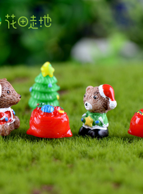 diy多肉植物苔藓微景观圣诞树