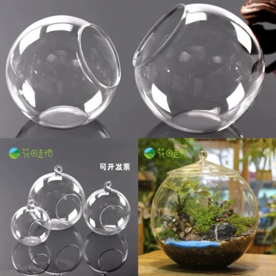 微景观带盖玻璃瓶 透明斜口吊球玻璃球多肉花盆 DIY生态瓶苔藓瓶