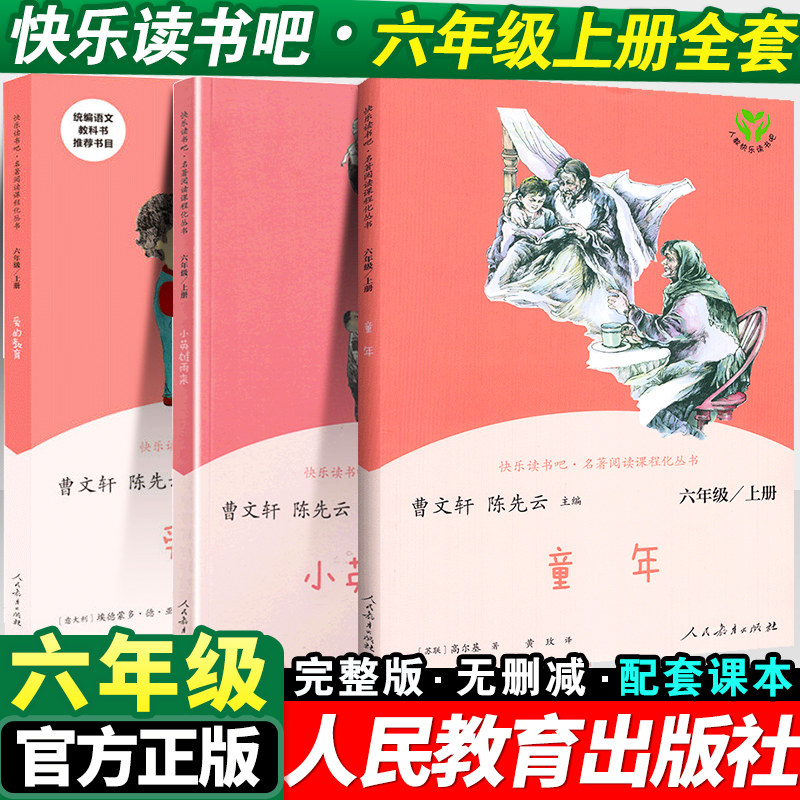 全套3册童年爱的教育和小英雄雨来六年级上册必读正版的课外书管桦高尔基原著完整版6上推荐小学快乐读书吧六上阅读书籍书目老师