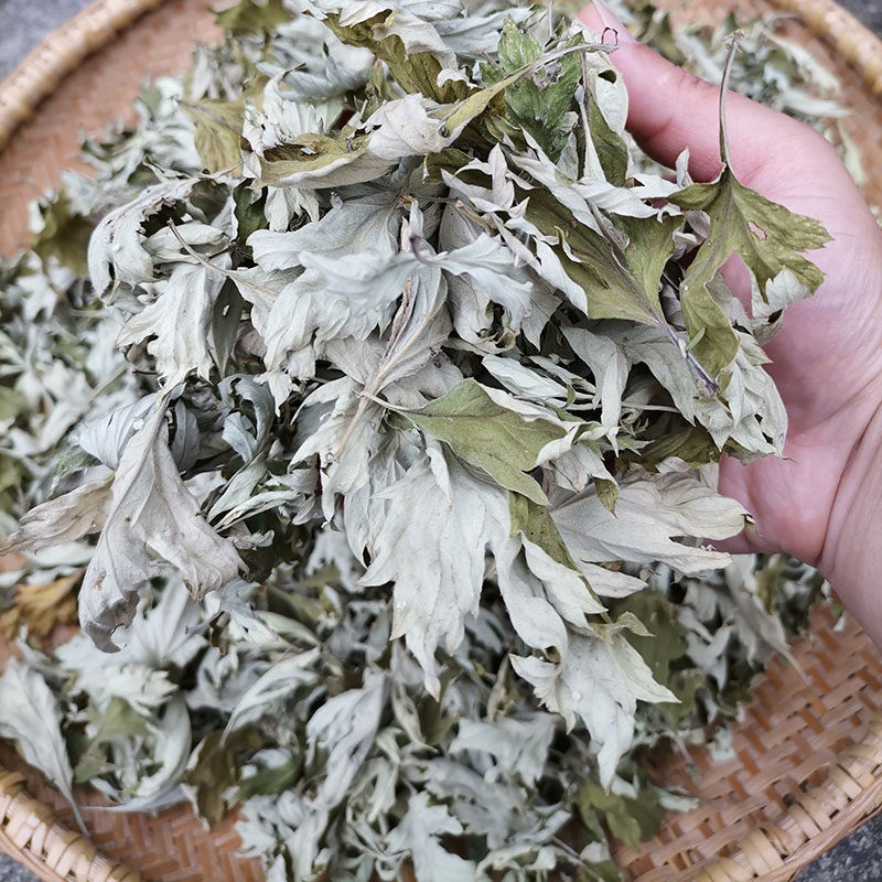 蕲春蕲艾端午艾草正宗本草蕲艾