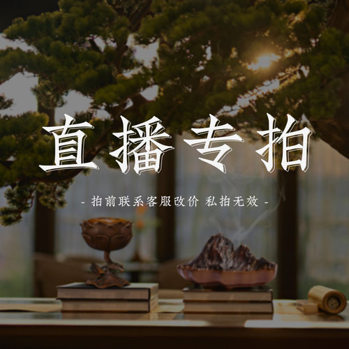 正念铜炉苏工名家作品