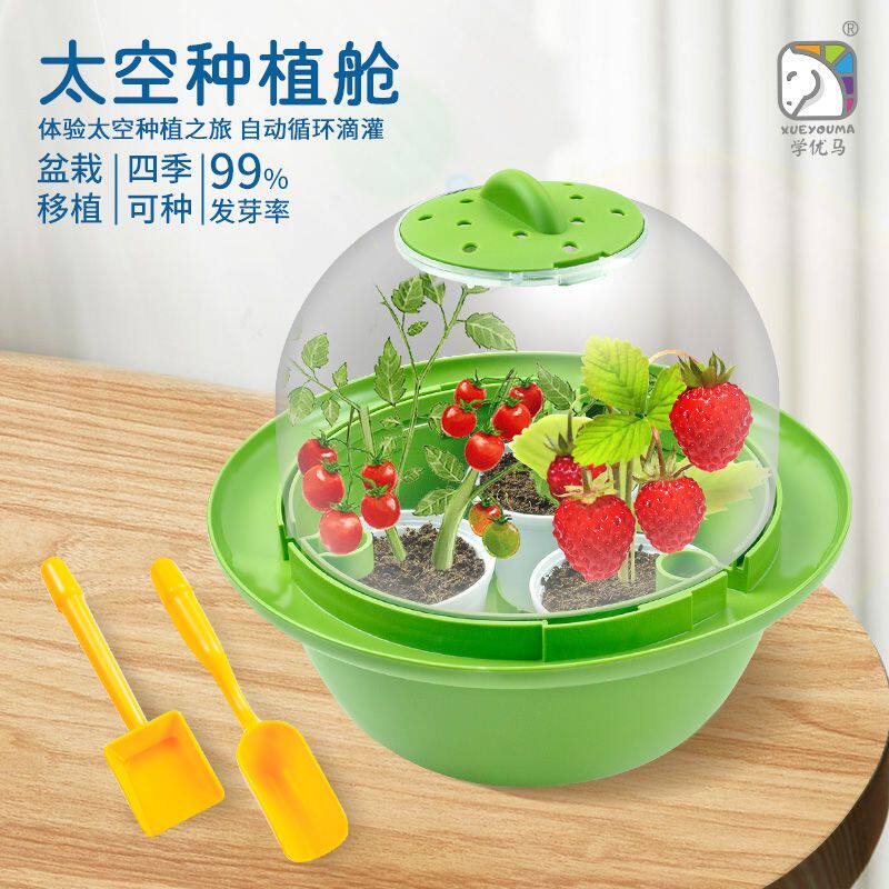 太空种植盆栽草莓种植儿童diy植物幼儿园观察发芽种菜豆芽阳光房