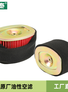 适用豪爵踏板摩托车国四电喷红宝Rubini空滤UM125T-E空气滤芯滤清