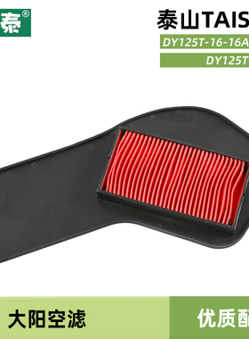 大阳踏板摩托车TAISAN泰山DY125T-16A-16M-17M空气过滤芯空滤配件