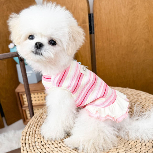 宠物狗狗条纹背心裙可爱好穿脱透气舒适春夏猫咪衣服小犬比熊泰迪