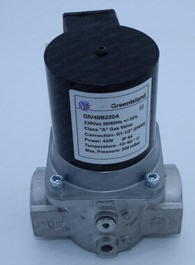 国产Greenlsland燃气电磁阀GIV40B220A  GIV15A220A GIV20B220A