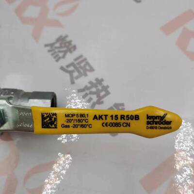 r球阀手动球阀AKT15R50B