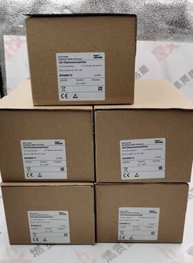 德国霍科德Kromschroder 84368013 FDU 510W1T51O1-OK1