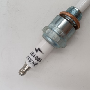 现货20个 美国天时ECLIPSE点火针火花塞10002219-1 原装全新