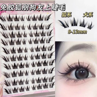 犬系+狐系的结合!免胶狐朋狗友落尾漫画睫假睫毛浓密卷钓系