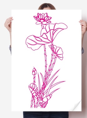 荷花荷叶花苞芦苇植物海报贴纸80x55cm墙贴纸卧室家居装饰