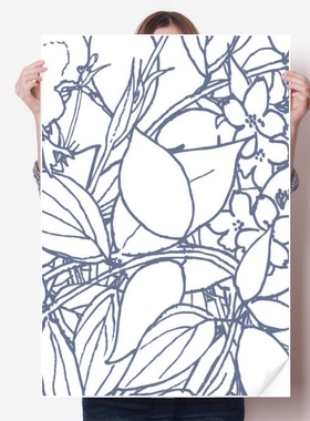 线描抽象花卉北欧插画海报贴纸80x55cm墙贴纸卧室家居装饰