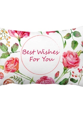 红色玫瑰花蔷薇手绘植物祝福抱枕靠枕腰枕沙发靠垫双面含芯礼物