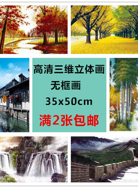 35X50cm高清三维立体画3D画现代装饰画防水画变化画pet光栅风景画
