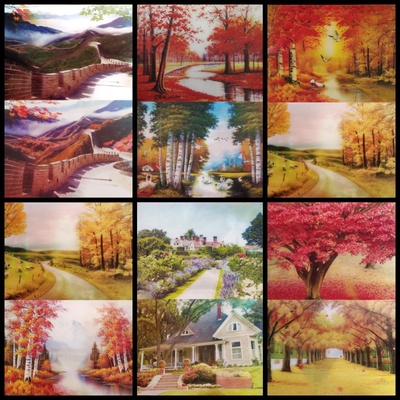 防水客厅是米航pet光栅3D立体画