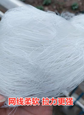 大力马尼龙线三层渔网粘网沾网加粗大鱼网捕鱼网挂网