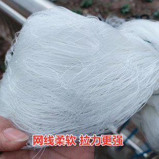 大力马尼龙线三层渔网粘网沾网加粗大鱼网捕鱼网挂网