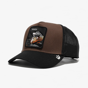 美版 潮牌嘻哈滑板Mamba网帽棒球帽 Bros. Goorin 代购 市井店