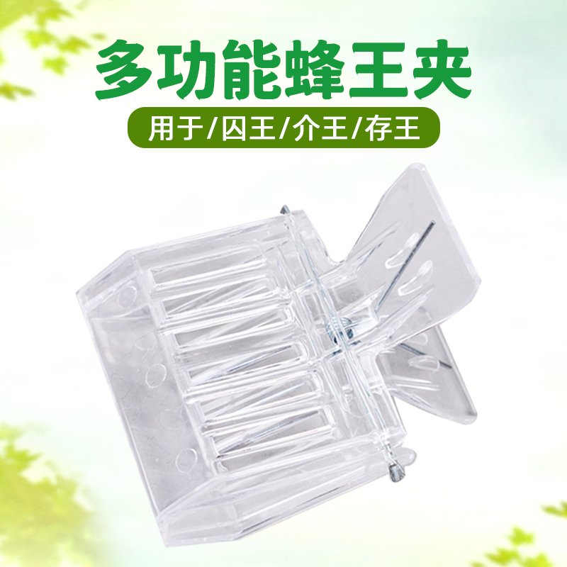 蜂王夹多功能塑料蜜蜂困王笼关王器换王介王养蜂工具中蜂抓王意蜂