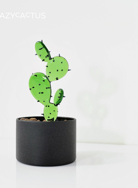 咖啡仙人掌 小盆栽系列  气氛植物摆件 家居装饰 Original Design