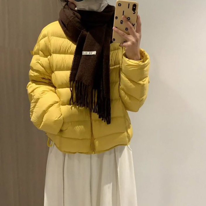 立领排骨棉服女装冬季短款2026年新款通勤风泡芙云感小个子外套