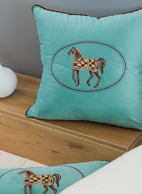 现代简约抱枕客厅沙发床头靠枕椅子靠背样板房飘窗刺绣荷兰绒橙色