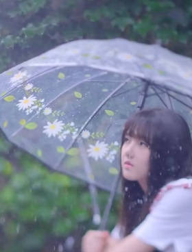 少女心大号 长柄透明伞网红 日本小清新女神森系ins学生简约雨伞