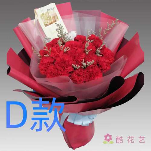 生日探望康乃馨吉林延边花店送花延吉市图们市敦化市同城鲜花快递