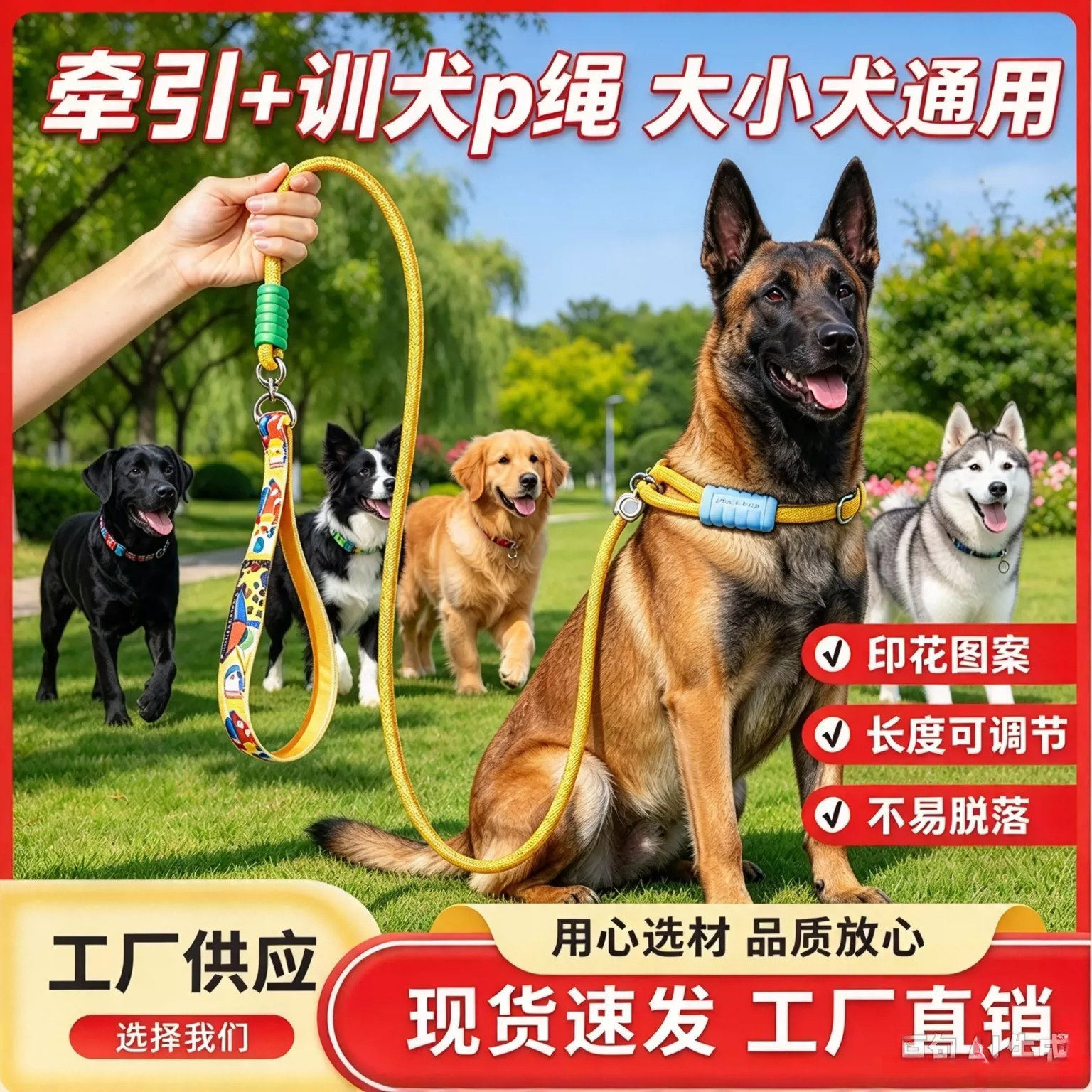中大小型犬防爆冲训犬牵引p绳
