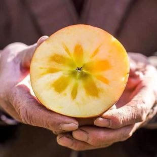 专享冰糖心正宗徐州丰县大沙河丑苹果10 红富士冰糖心孕妇水果 包邮