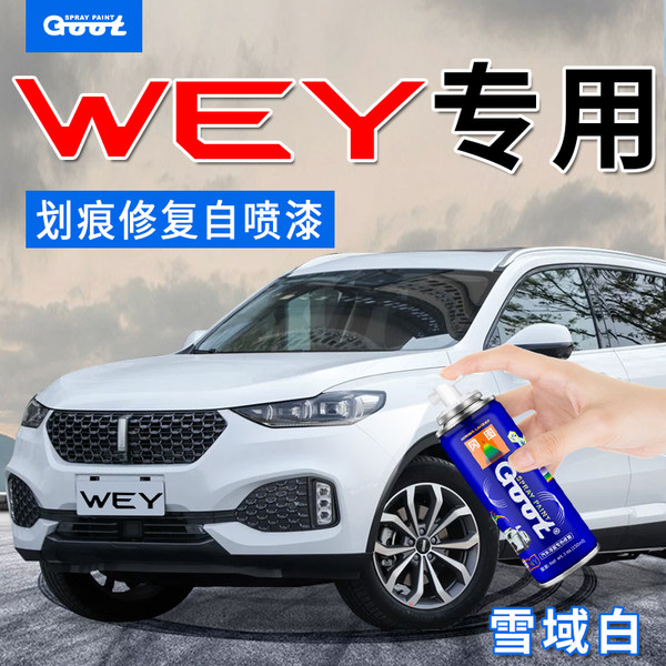 GOOT魏派VV5汽车补漆笔艾尔斯图片