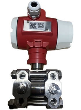 【正品LEEG】立格DMP305X-DST-S602DSSS-T1R1-FC-H1压力变送器