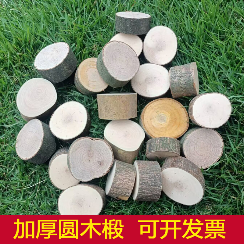 圆木椴木片学生美工材料