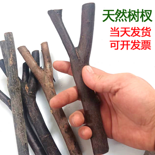 天然树杈儿童手工创意材料幼儿园DIY原木树枝环境布置木片木椴枝