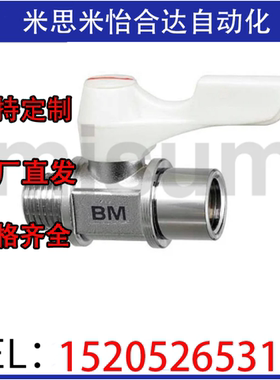 小型球阀 专业替代BBPF BBPT BBFF 11F 22F 33F 44F